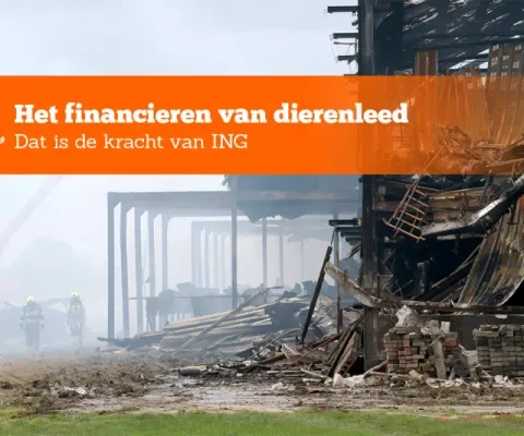 ING negeert vooralsnog uitspraak Reclame Code Commissie