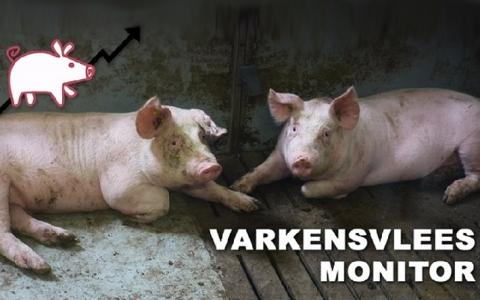 Aanbod varkensvlees met keurmerk stijgt met slechts 1%