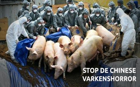 Europese Commissie eist dat China onnodig dierenleed stopt