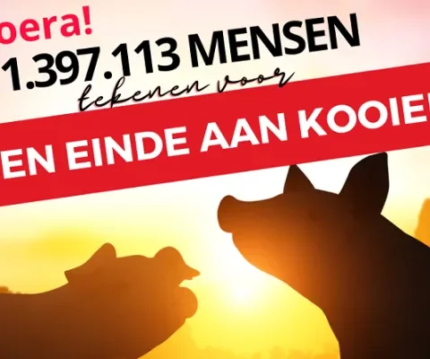 Bijna 1,4 miljoen handtekeningen ingediend tegen het kooien van dieren!