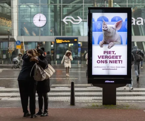 Landbouwakkoord dieren worden niet gehoord Piet vergeet ons niet